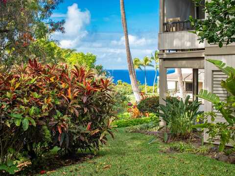 10 Wailea Ekolu Pl, Kihei, HI 96753