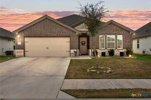 420 Windy Reed Road, Hutto, TX 78634