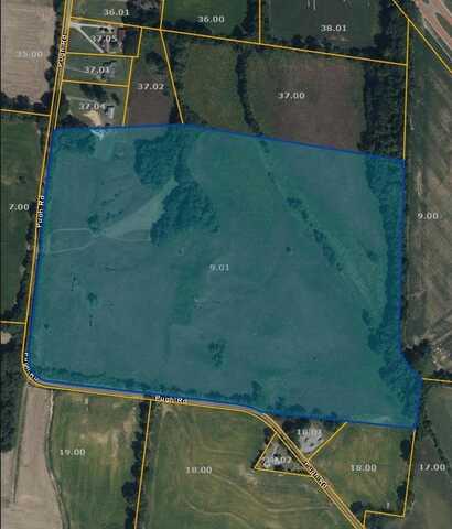 53 Acres Pugh Rd, Other, TN 38034