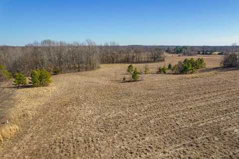 53 Acres Pugh Rd, Other, TN 38034