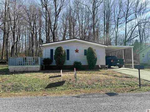 163 Pebble Creek Drive, Eddyville, KY 42038