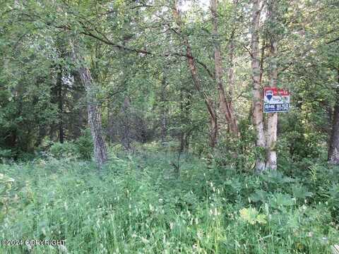 C003 E Mountain Mama Circle, Palmer, AK 99645