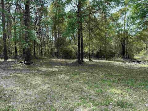 10586 Holland Rd, Kountze, TX 77625