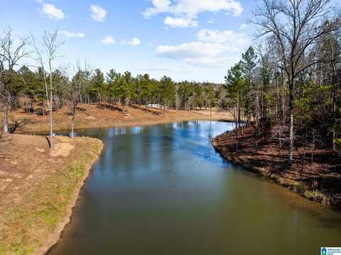 6497 COUNTY ROAD 86, CALERA, AL 35040