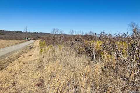 TBD Wilderness Road, Center Ridge, AR 72027