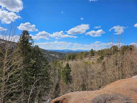 Hwy 67, Divide, CO 80814