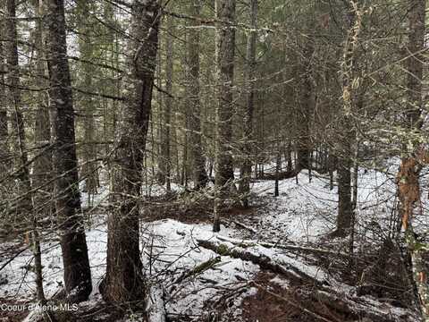 8xx Eastriver Spur, Priest River, ID 83856