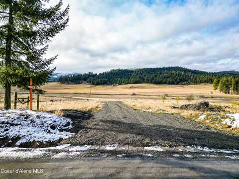 2879 Tyson Creek Rd, Santa, ID 83866