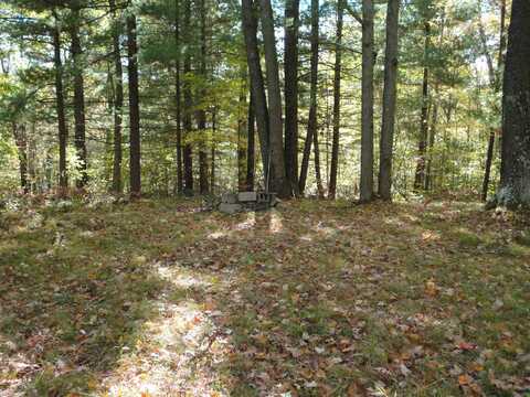 00 TBD Firelane Trail, Lake George, MI 48633