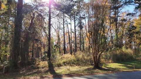 0 Old Cherokee Road LOT #6, Lexington, SC 29072