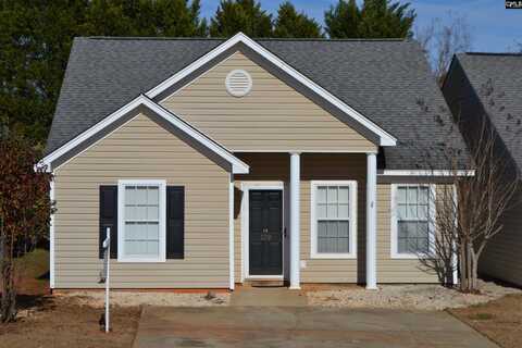 109 W Horn Court, Chapin, SC 29036