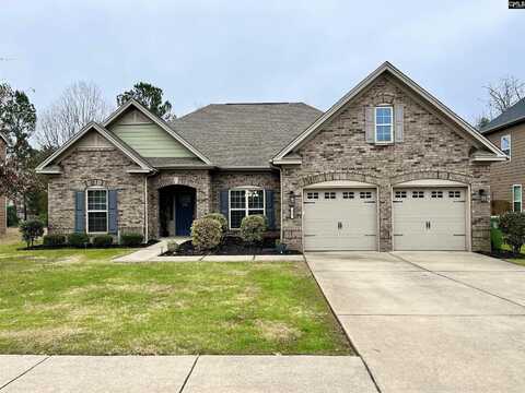 255 Indigo Hills Drive, Chapin, SC 29036