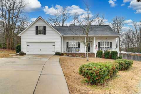 217 Moyer Drive, Chapin, SC 29036