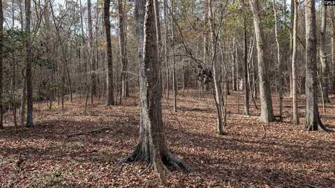 TBD Wateree Estates Road, Winnsboro, SC 29180