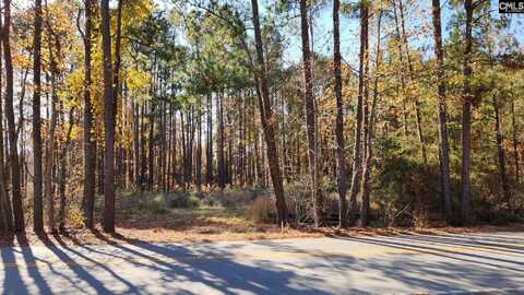 0 Old Cherokee Road LOT #3, Lexington, SC 29072