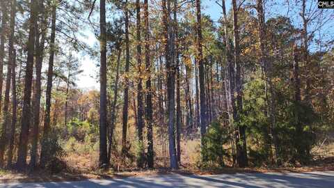 0 Old Cherokee Road LOT #2, Lexington, SC 29072