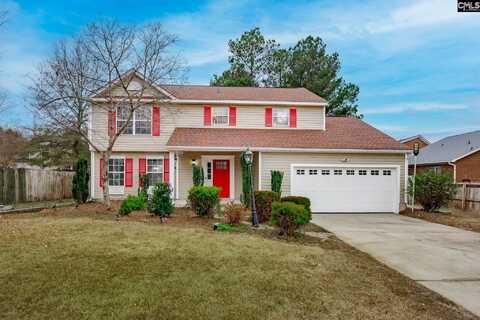 55 Stoney Pointe Drive, Chapin, SC 29036