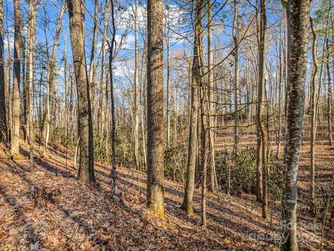 99999 Prestwick Drive, Hendersonville, NC 28792