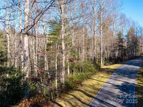 000 Chattooga Run, Hendersonville, NC 28739