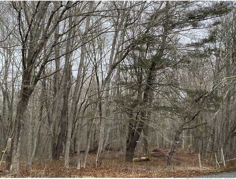 Lot 2 770 Pequot Trail, Stonington, CT 06379