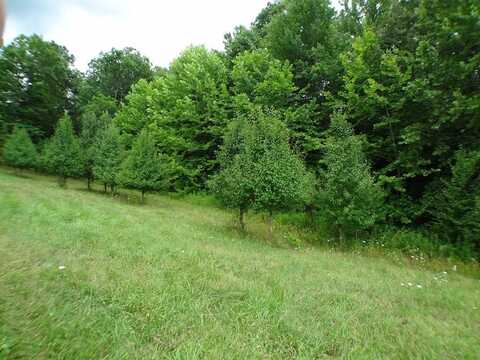 Lot # 43 Porter Creek Drive, Franklin, NC 28734