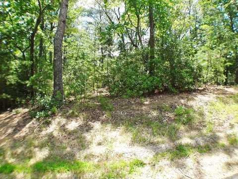 Lot #40 Porter Creek Drive, Franklin, NC 28734