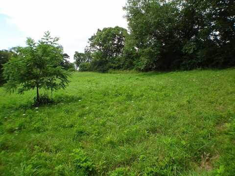 Lot # 9 Porter Creek Drive, Franklin, NC 28734