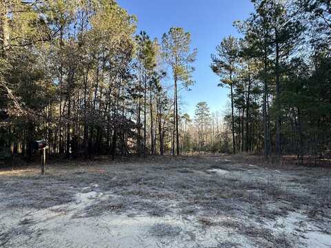 1873 WILD TURKEY Drive, Gibson, GA 30810