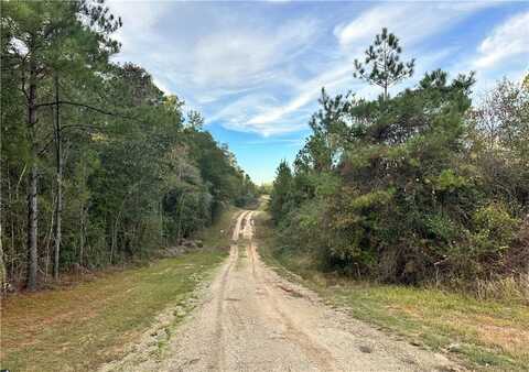 0 Lott Road, Chunchula, AL 36521