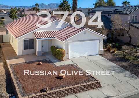 3704 Russian Olive Street, North Las Vegas, NV 89032