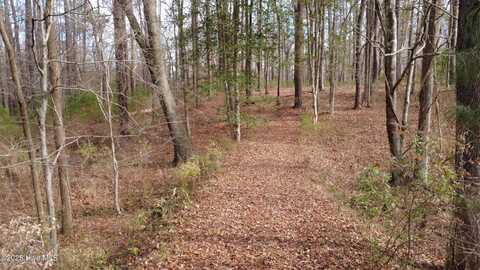 0 Victoria Drive Lot 82 Drive, Chocowinity, NC 27817