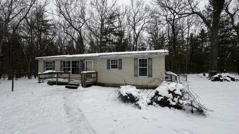 8030 W Peterson Road, Irons, MI 49644