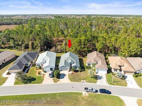 10169 Holly Berry Drive, Weeki Wachee, FL 34613