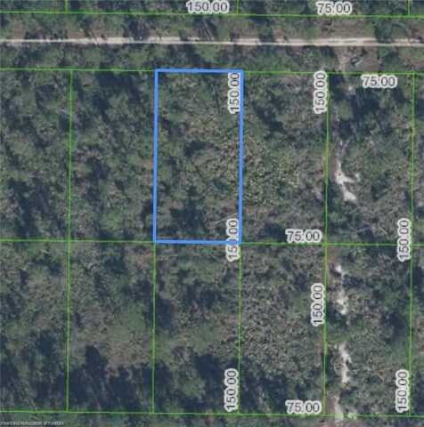 1617 Nectar Avenue, Sebring, FL 33875