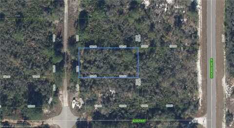 203 Marshall Avenue, Lake Placid, FL 33852