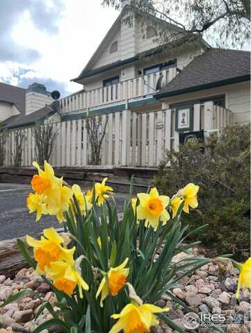 1010 S Saint Vrain Ave, Estes Park, CO 80517