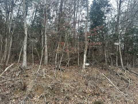 Tract 2 White Pine Road N, White Pine, TN 37890