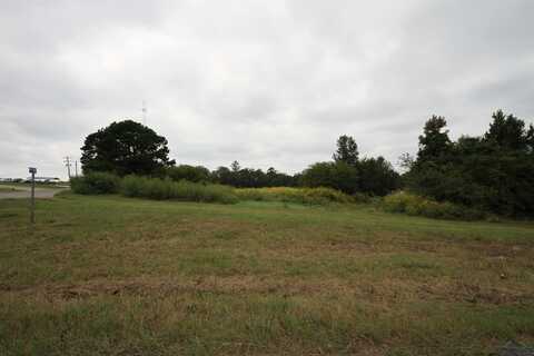 2260 (tbd) S FM 2869, Hawkins, TX 75765