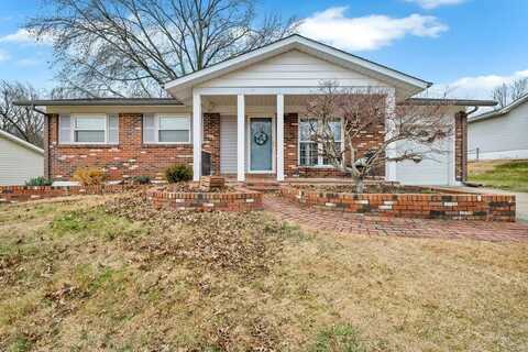 316 E Pottle Avenue, Saint Louis, MO 63129