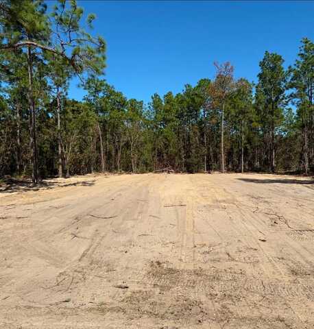 TBD SW 89TH CIR,, OCALA, FL 34473