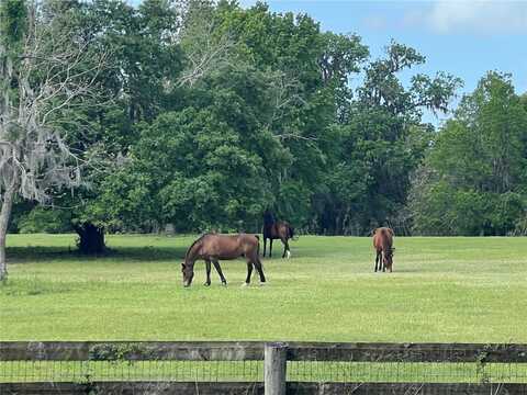 Tbd W HIGHWAY 329, REDDICK, FL 32686