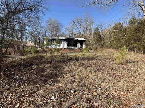 413 Alabama Avenue, Scottsboro, AL 35768