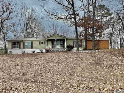 1376 Reid Road, Vina, AL 35593