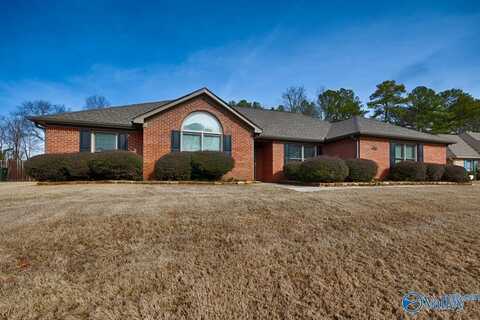 105 Wandering Lane, Harvest, AL 35749