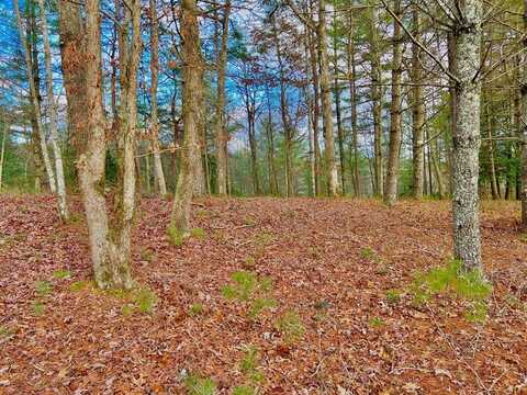 Lot 5 Hawks View, Morganton, GA 30560