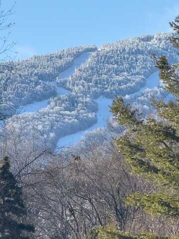 80 The Hollow Road, Winhall, VT 05340