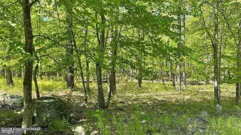 Spring Court, Bushkill, PA 18324