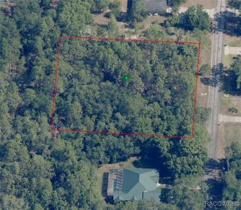 665 N Heathrow Drive, Lecanto, FL 34461