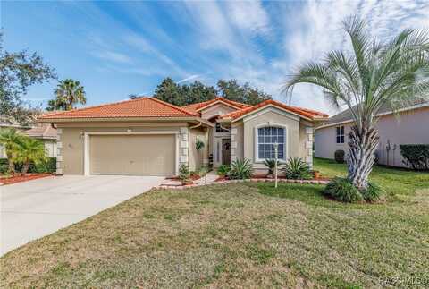 941 W Silver Meadow Loop, Hernando, FL 34442