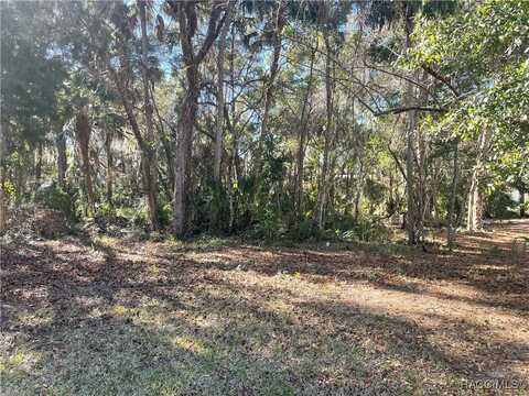 11850 W Fisherman Lane, Homosassa, FL 34448